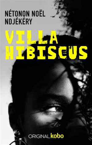 Nétonon Noël Ndjékéry – Villa Hibiscus