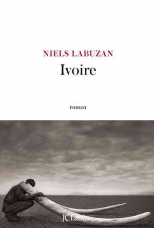 Niels Labuzan – Ivoire