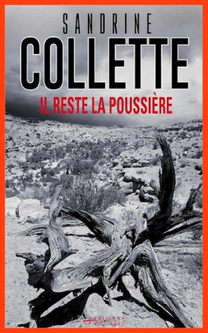 Sandrine Collette – Il reste la poussière