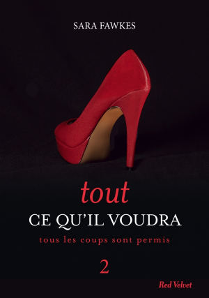 Sara Fawkes – Tout ce qu’il voudra, tome 2 : Tous les coups sont permis